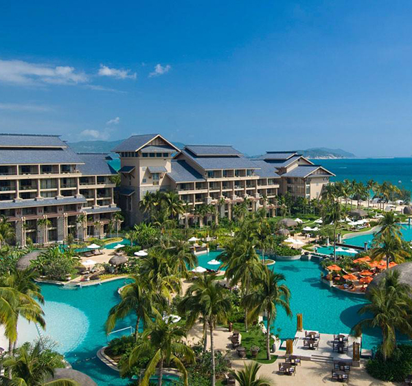 ��ï����ϣ���ٴ�Ƶ�