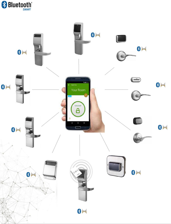 ������Կϵͳ